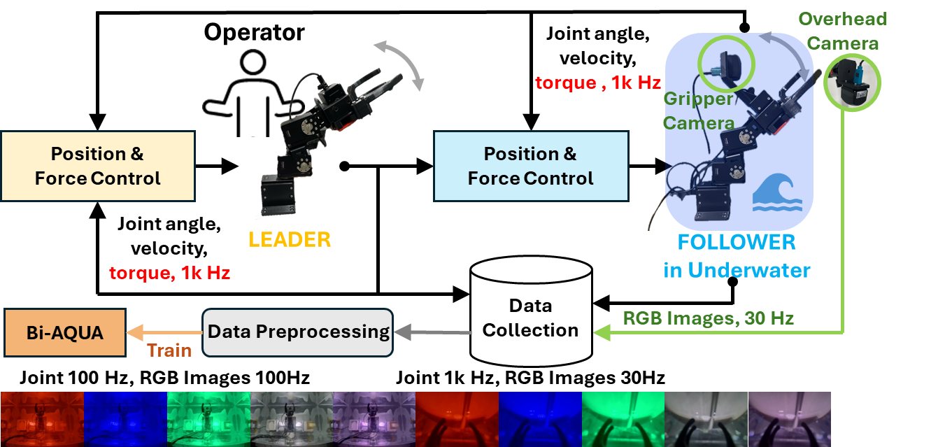 Bi-AQUA Data Collection