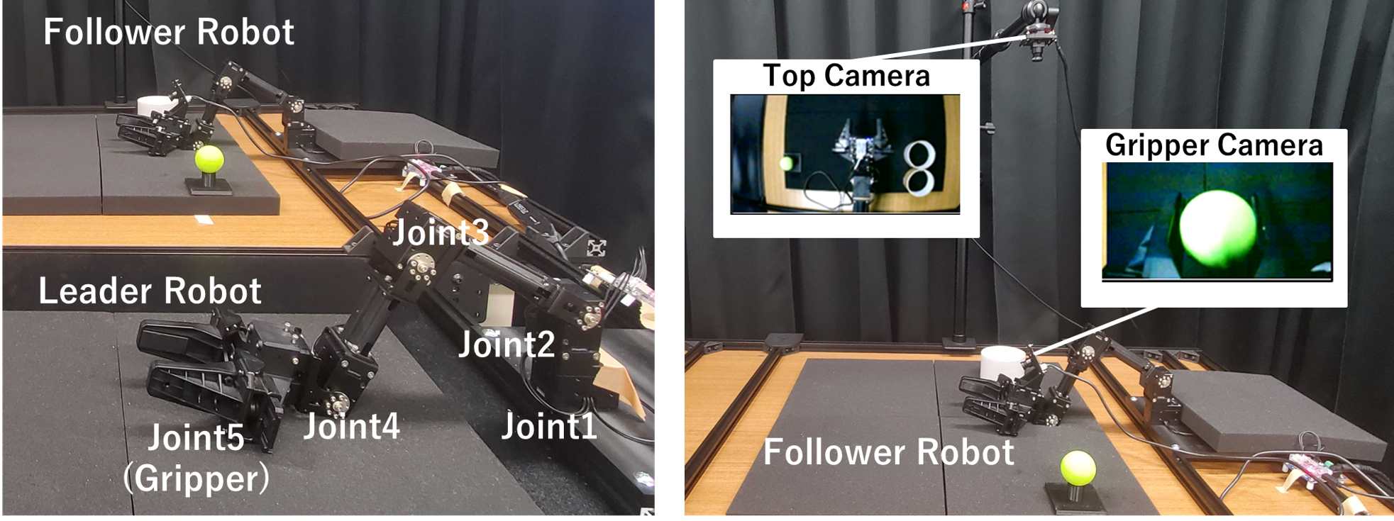 Experimental environments and cameras