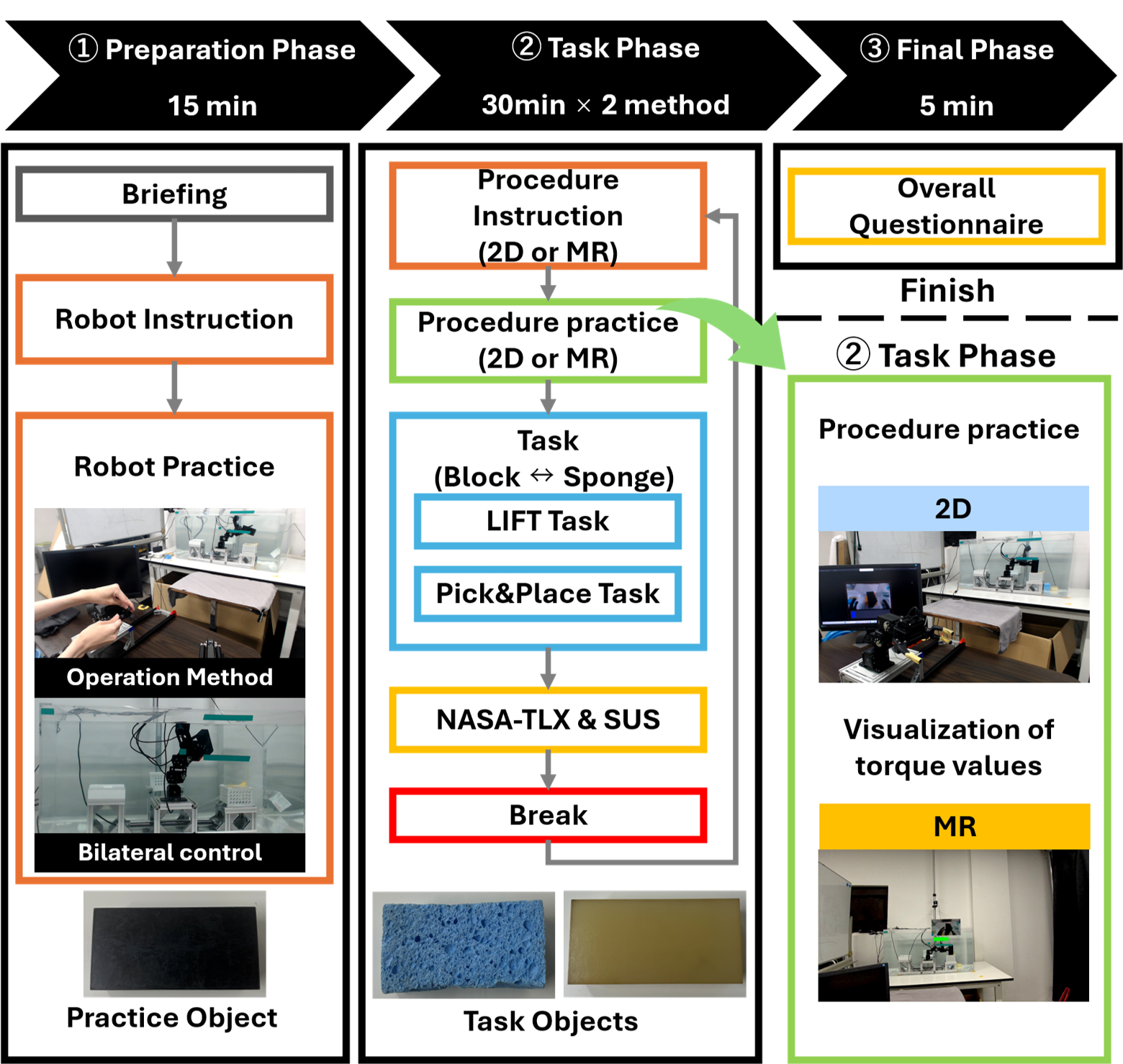 Experimental protocol